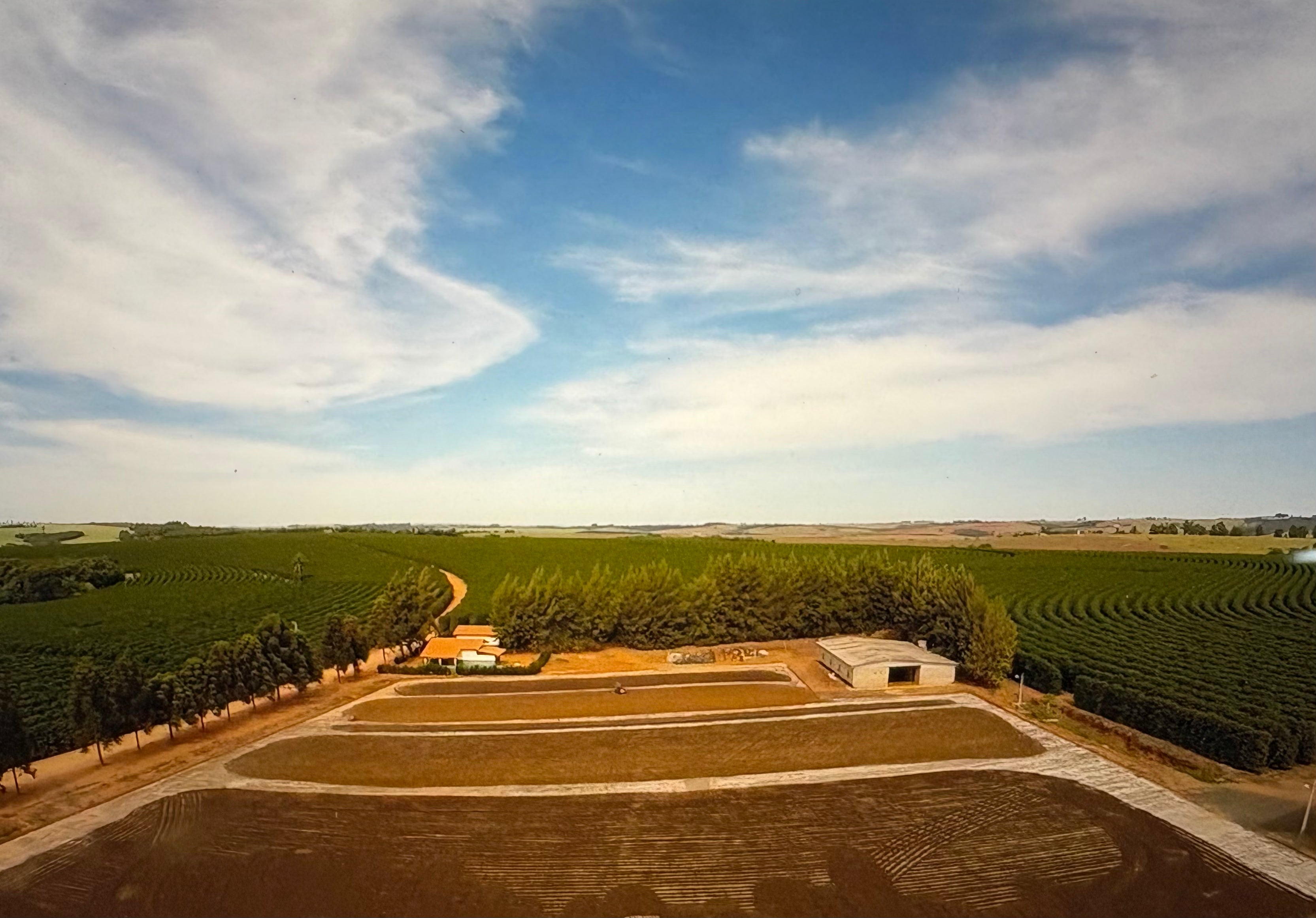 Fazenda Sao Matheus - Brasil / Cerrado Mineiro