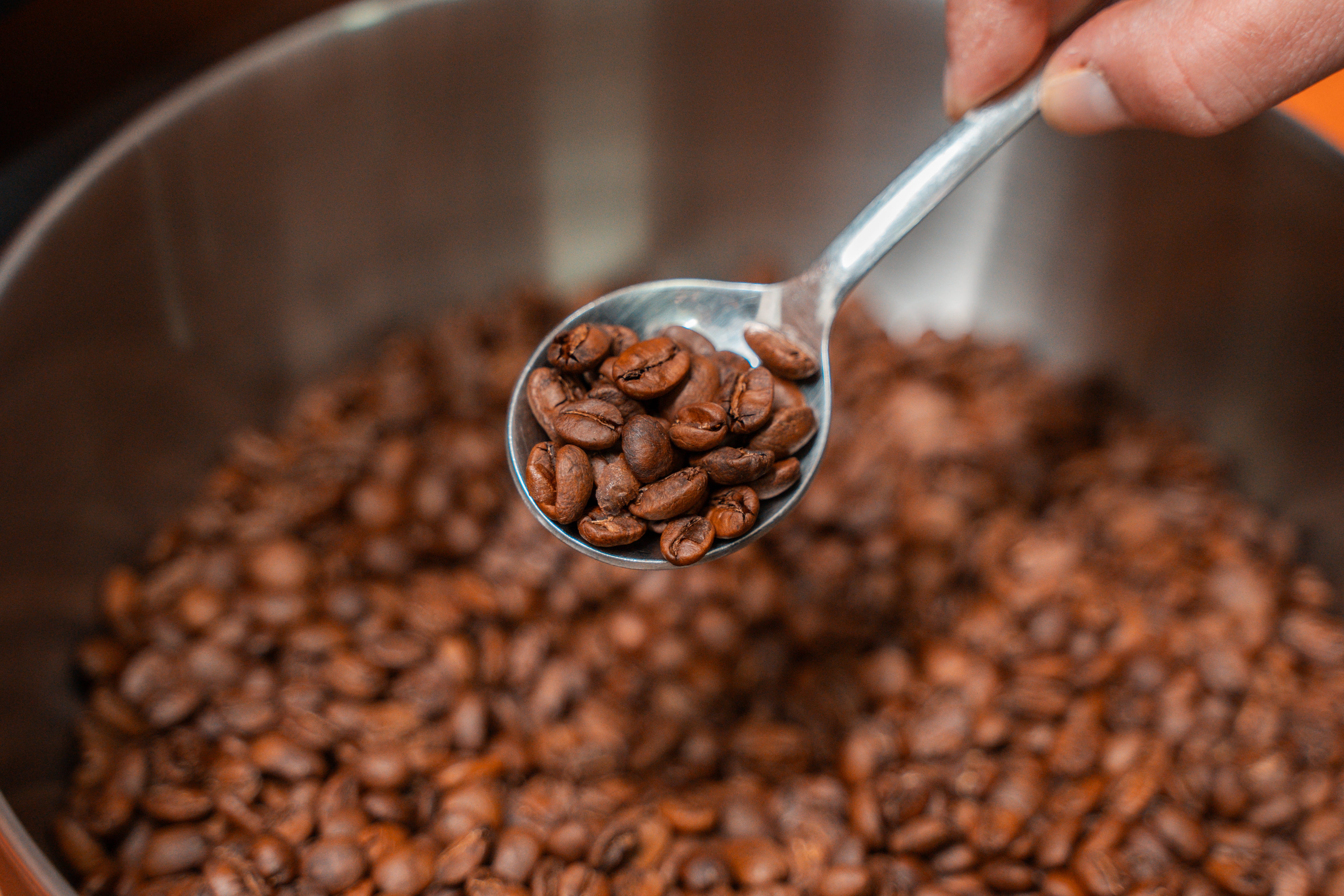 Suscripción Real Coffee
