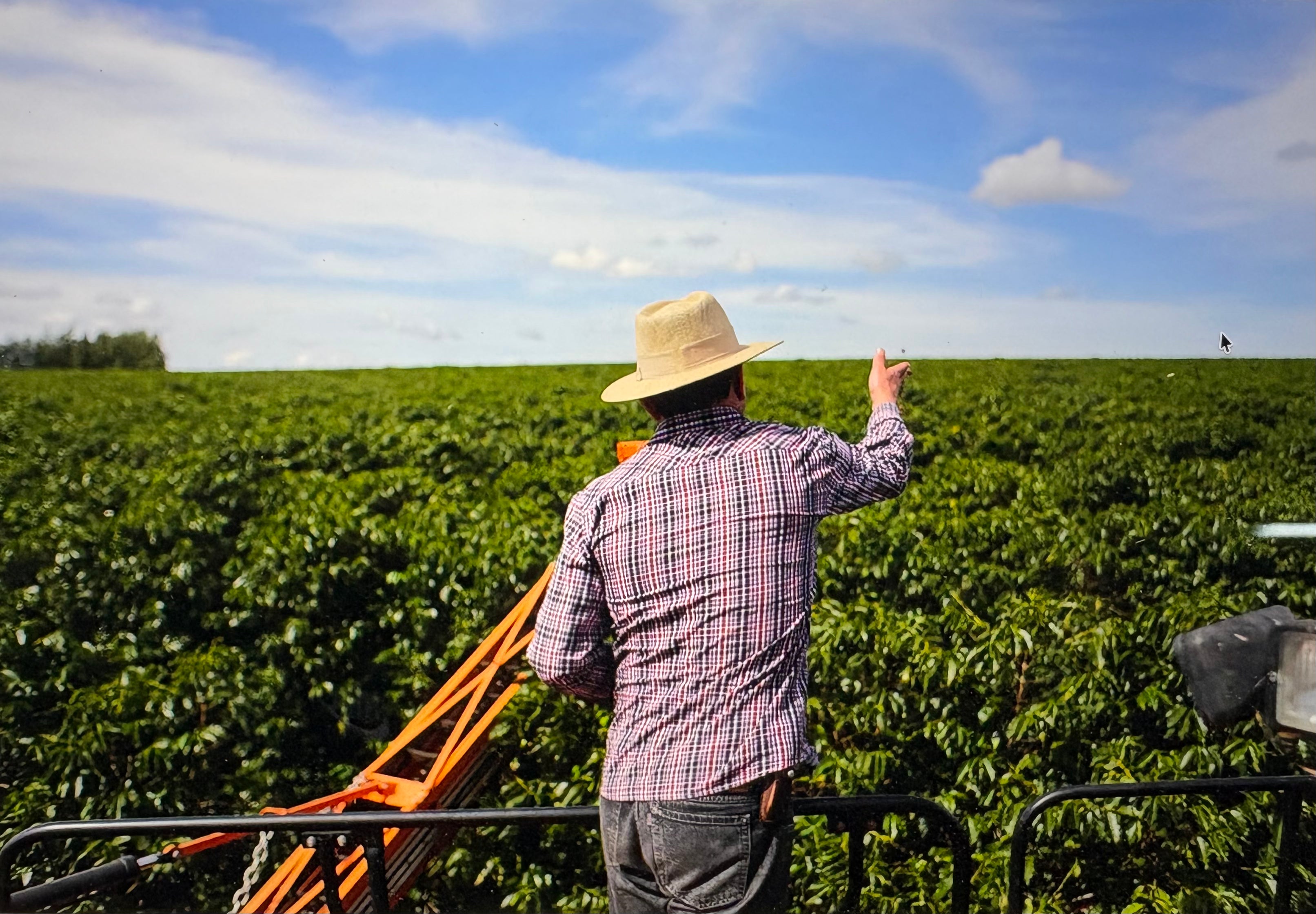 Fazenda Sao Matheus - Brasil / Cerrado Mineiro
